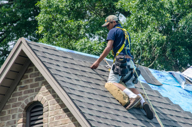 Best Roof Repair Services  in Fall Creek, WI