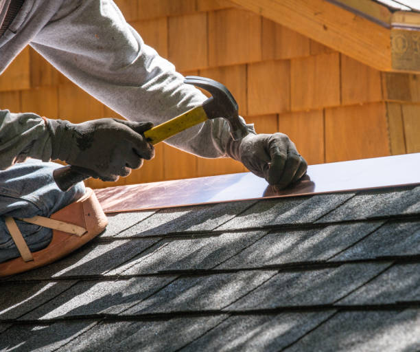 Best Roof Gutter Cleaning  in Fall Creek, WI